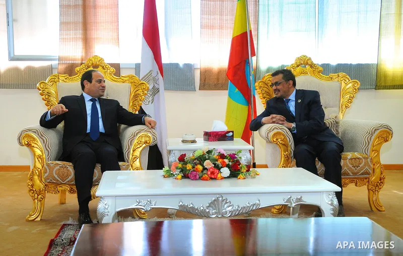 A handout picture made available by the Office of the Egyptian President shows Ethiopian Foreign Minister, Tedros Adhanom Ghebreyesus (R), sitting with the Egyptian President, Abdel Fattah al-Sisi (L), shortly after his...