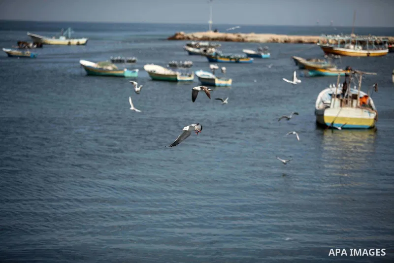 Seagulls fly over the mediterranean sea off the coast of Gaza city on February 7, 2015. The Israeli military boats on Friday morning opened fire on the Palestinian fishermen's boats near Al-Sudaneyya shore northwest of G...