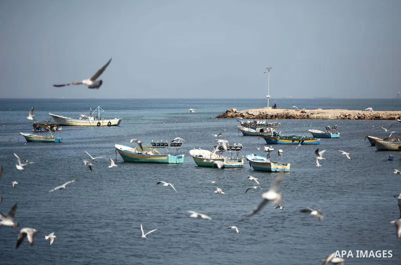 Seagulls fly over the mediterranean sea off the coast of Gaza city on February 7, 2015. The Israeli military boats on Friday morning opened fire on the Palestinian fishermen's boats near Al-Sudaneyya shore northwest of G...