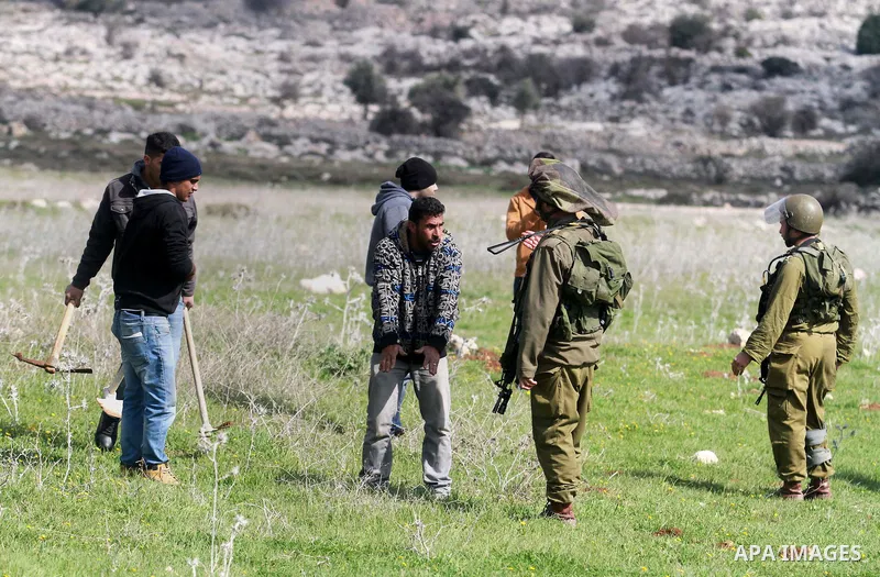 A Palestinian protester argues with Israeli soldiers during a protest against what Palestinians say is land confiscation for Jewish settlements, in the West Bank village of Silwad near Ramallah February 9, 2015. Photo by...
