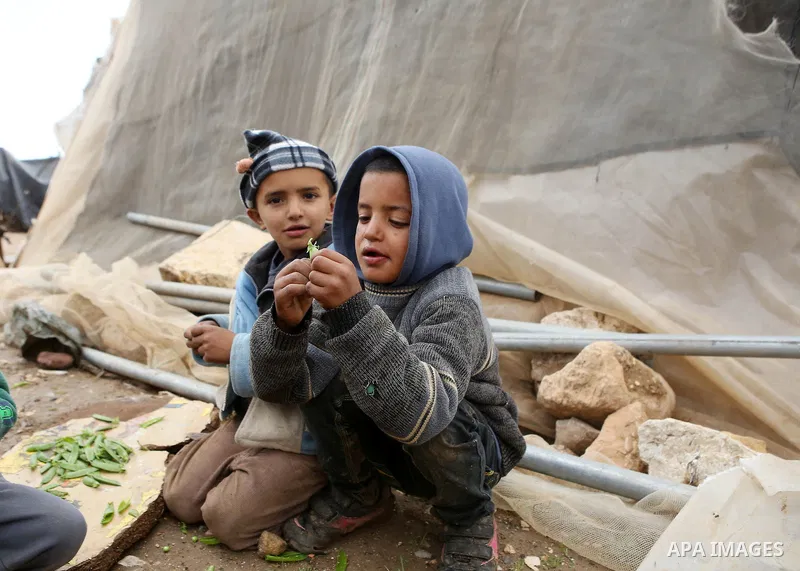Palestinian children play outside their tents in the West Bank Beduin village of Almaleh, in the northern Jordan Valley February 14, 2015. Photo by Shadi Hatem