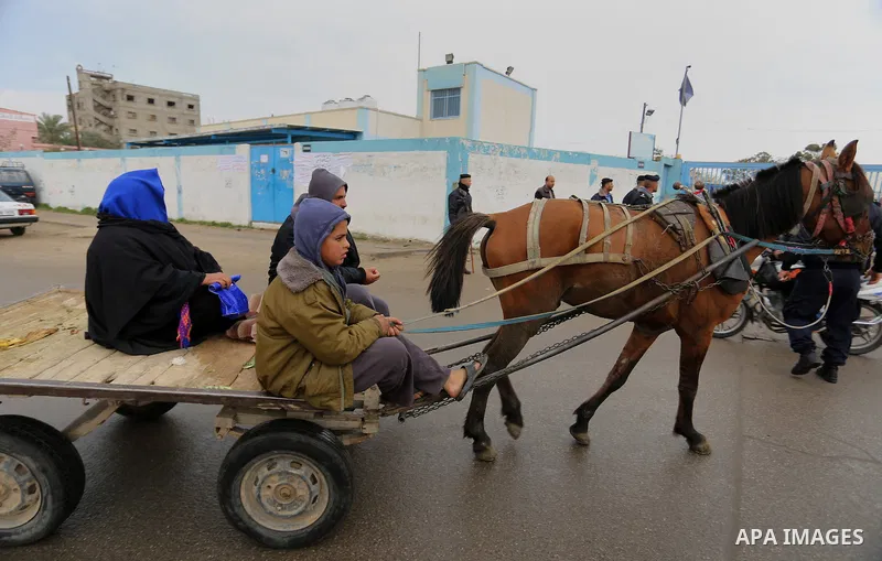 Palestinians ride a horse cart during a protest calling for reconstruction of their houses that witnesses said were destroyed by Israeli shelling during a 50-day war last summer, outside a United Nations food distributio...