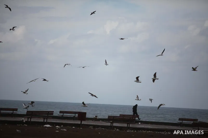 seagulls fly over the beach of Gaza city during a rainy day, February 18, 2015. Photo by Ashraf Amra