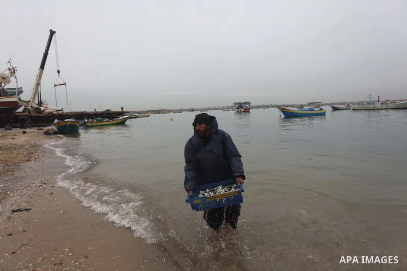 A Palestinian fisherman collects fish from his net at Gaza's seaport of Gaza City on February 23, 2015. Copious fish flowed to the coast of the Gaza Strip after fishermen break due to the storm that hit the region. Photo...