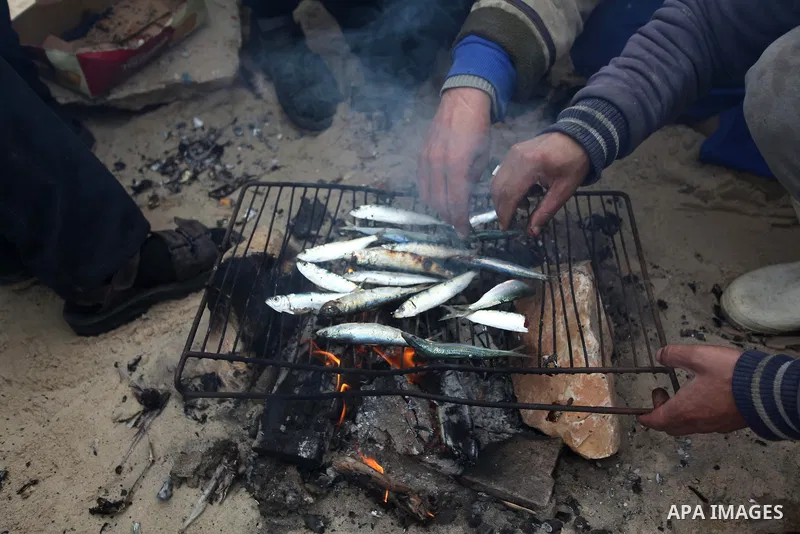 Palestinian fishermen grill the fishes by the firewood at the port in Gaza City on February 23, 2015. Copious fish flowed to the coast of the Gaza Strip after fishermen break due to the storm that hit the region. Photo b...
