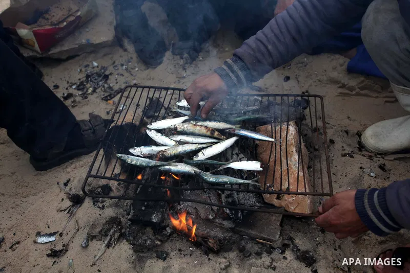 Palestinian fishermen grill the fishes by the firewood at the port in Gaza City on February 23, 2015. Copious fish flowed to the coast of the Gaza Strip after fishermen break due to the storm that hit the region. Photo b...