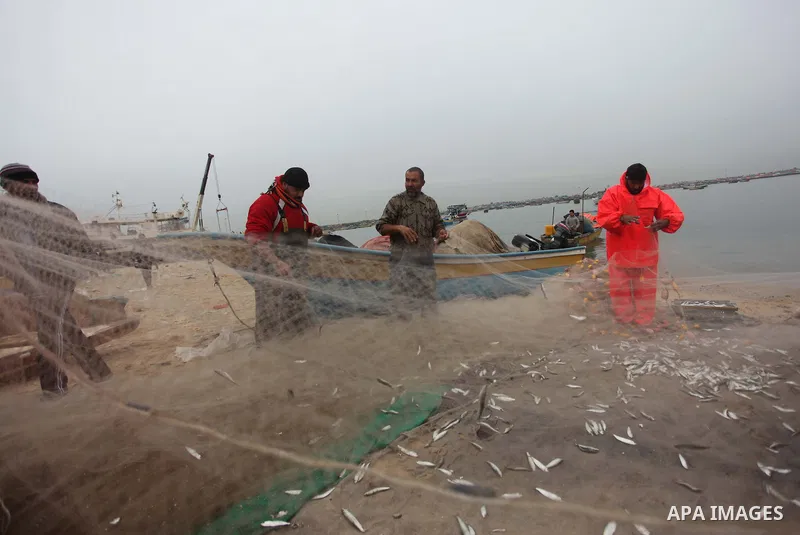 Palestinian fishermen collect fish from their net at Gaza's seaport of Gaza City on February 23, 2015. Copious fish flowed to the coast of the Gaza Strip after fishermen break due to the storm that hit the region. Photo...