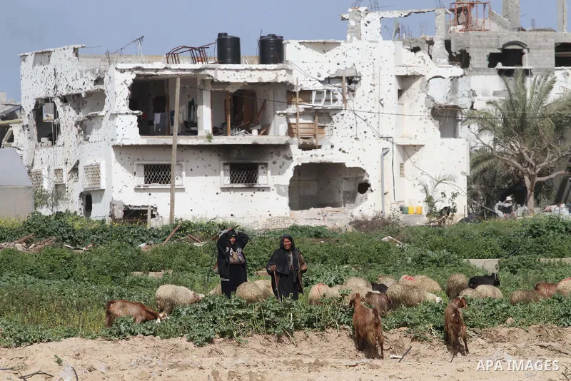 Palestinian Bedouins lead a herd of livestock in the east of Gaza City February 28, 2015. Photo by Mohammed Asad