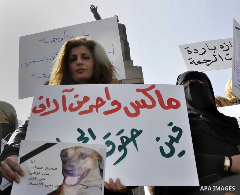 Egyptians hold placards during demonstration against killing Al-ahram's Dog at Al Jazeera square in Cairo, Egypt on February 28, 2015. Photo by Amr Sayed