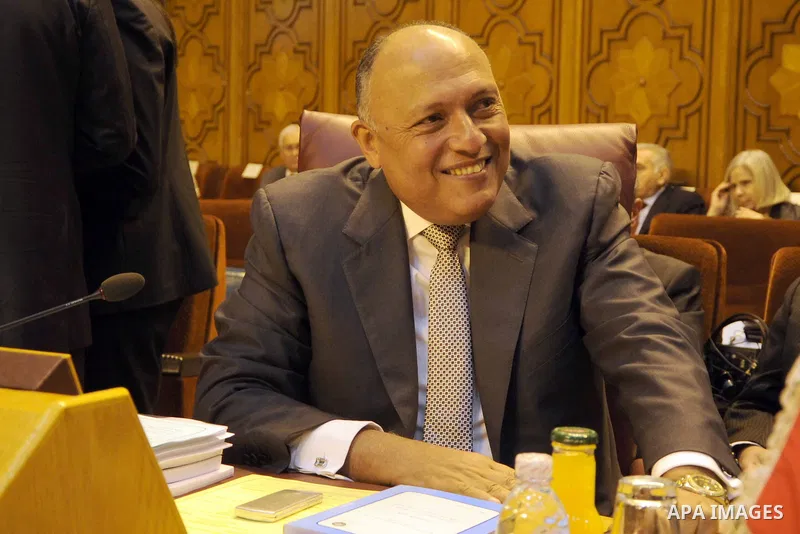 Foreign ministers of the Arab League take part in an emergency meeting at the League's headquarters in Cairo March 9, 2015. Saudi Arabia has blocked a plan for Sweden's Foreign Minister Margot Wallstrom to address the Le...