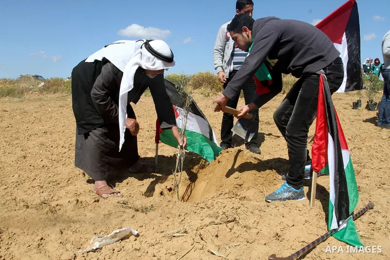 Palestinians hold their national flags as they plant olive trees to mark Land Day during a symbolic ceremony held in the village of Abassan, east of Khan Yunis near the border fence between Israel and the southern Gaza S...