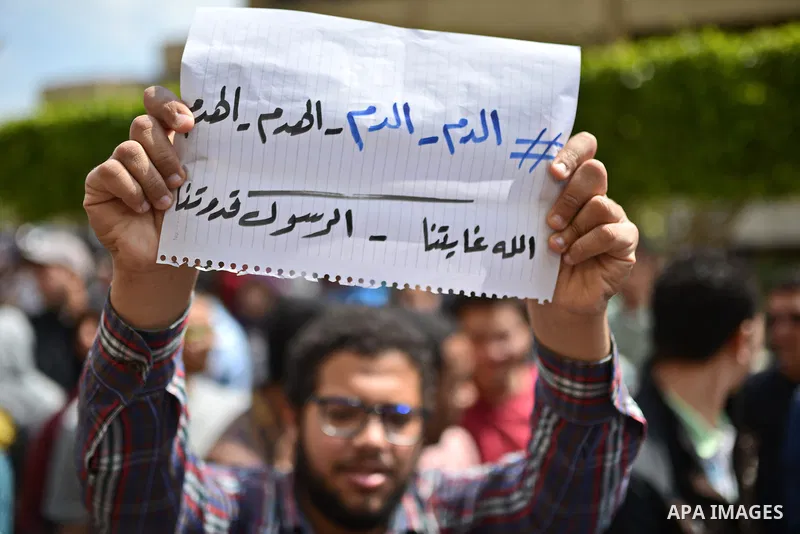 Egyptian students who support Muslim Brotherhood and ousted president Mohammed morsi hold banners and shout slogans during a protest in solidarity with Syrian people, at Cairo University on April 1, 2015. International d...
