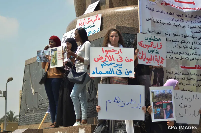 Egyptian women hold banners during a protest demanding animal rights in front of the Opera, Cairo, Egypt on April 4, 2015. Photo by Amr Sayed