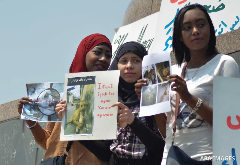 Egyptian women hold banners during a protest demanding animal rights in front of the Opera, Cairo, Egypt on April 4, 2015. Photo by Amr Sayed