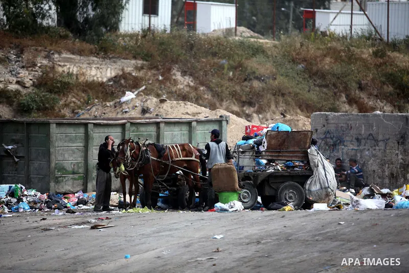 Palestinian workers collect garbage on a horse cart from a street in Gaza city on April 8, 2015. Photo by Ashraf Amra
