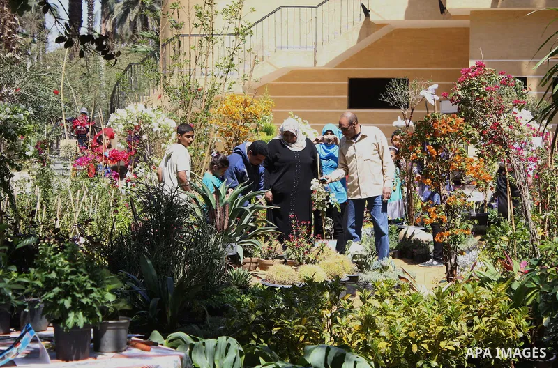 Egyptians visit the spring flower exhibition held at Orman Botanical Garden in Giza, Egypt, on April 13, 2015. Egyptians celebrate the Sham El Nessim, or the Festival of Spring Breeze, which marks the beginning of spring...