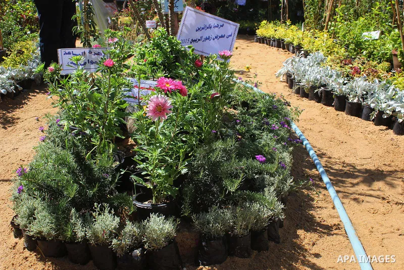 A general view shows the spring flower exhibition at Orman Botanical Garden in Giza, Egypt, on April 13, 2015. Egyptians celebrate the Sham El Nessim, or the Festival of Spring Breeze, which marks the beginning of spring...
