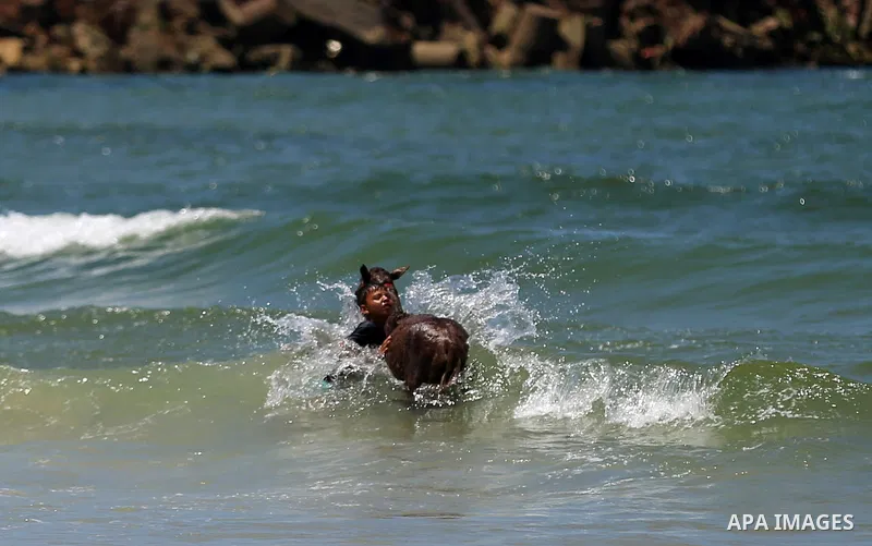 A Palestinian boy washes his donkey as he swims at the beach of Gaza city on April 30, 2015. Photo by Ashraf Amra