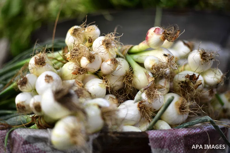 Onions are displayed at a street market in Ad Duqqi district, near Cairo on May 19, 2015. Egypt suspended a capital gains tax on Monday, sending shares soaring after a months-long downturn in which investors had complain...