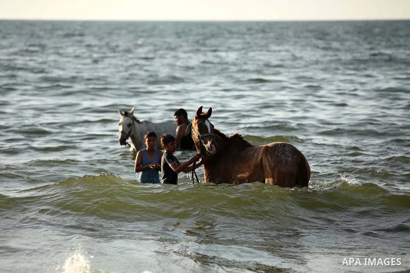 Palestinians enjoy a day on a warm day in the Mediterranean Sea beach, off the coast of Gaza City on May 20, 2015. Photo by Ashraf Amra