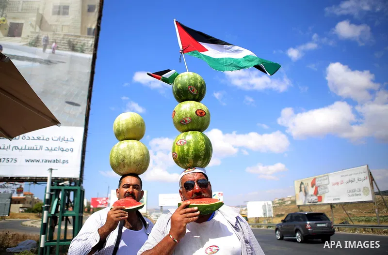 Palestinian fruit vendor Abu Haloom from Balata Refugee Camp balances large watermelons on his head trying to attract customers in a road between Nablus and Ramallah in the West Bank on May 30, 2015. Photo by Shadi Hatem
