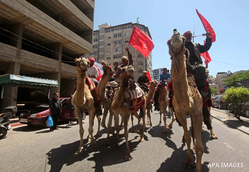 Palestinians ride camels and horses as they march during a mass wedding ceremony in Gaza city on May 31, 2015. Nearly 4000 Palestinian couples were married in a ceremony funded by Turkish government. Photo by Ashraf Amra