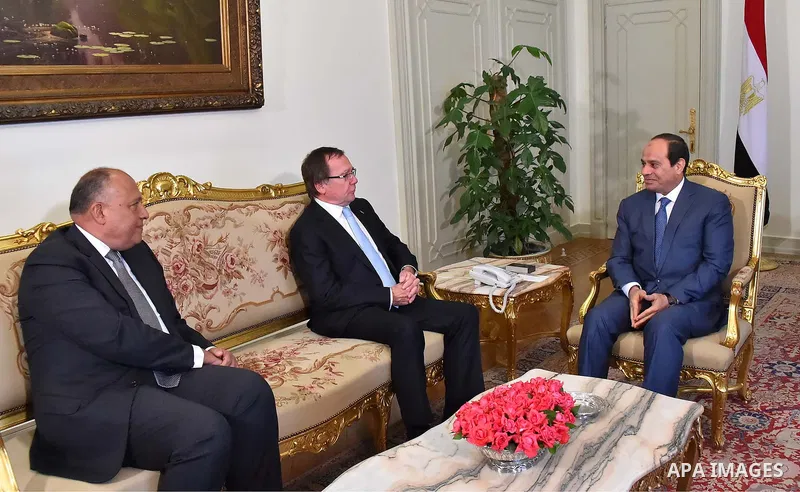Egyptian President Abdel-Fattah al-Sisi (R) meets with Minister of Foreign Newzealand in Cairo, Egypt, June 1, 2015. Photo by Egyptian Presidency