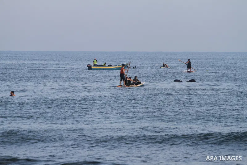 Palestinian boys take part in a training camps of the swimming organized by the Hamas movement into the Mediterranean Sea in Gaza City, on June 6, 2015. Photo by Mohammed Asad
