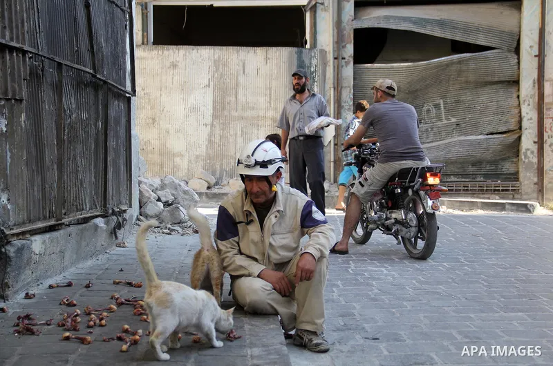Mohammed Mashadi, a 40-year-old Syrian civil defense member, feeds cats in a street in Bab al-Nairab district in the northern Syrian city of Aleppo, June 26, 2015. Some 600 Syrians known as ''White Helmets'' or Syrian Ci...