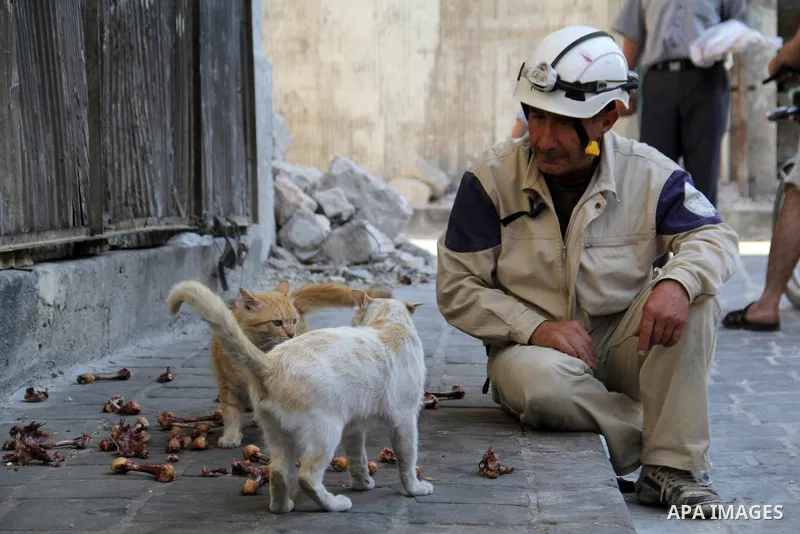 Mohammed Mashadi, a 40-year-old Syrian civil defense member, feeds cats in a street in Bab al-Nairab district in the northern Syrian city of Aleppo, June 26, 2015. Some 600 Syrians known as ''White Helmets'' or Syrian Ci...