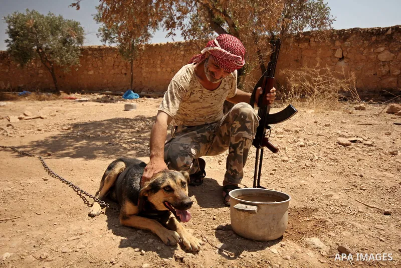 A fighter from the Free Syrian Army plays with his dog following clashes with the pro-regime forces, in Aziza village in the northern Syrian city of Aleppo, on July 28, 2015. Photo by Ameer al-Halbi