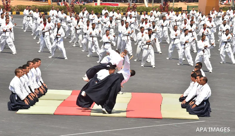 Egyptian Air forces demonstrate their skills during a military academy graduation ceremony in the capital, Cairo, on Jly 30, 2015. Photo by Egyptian President Office. Photo by Egyptian President Office