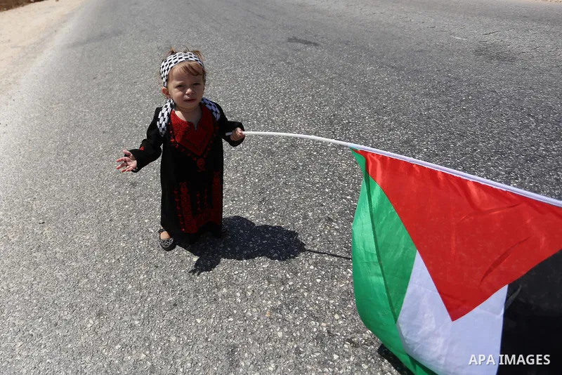 A Palestinian girl waves Palestinian flag during a protest against Jewish settlements in the West Bank village of Nabi Saleh, near Ramallah August 21, 2015. Photo by Shadi Hatem
