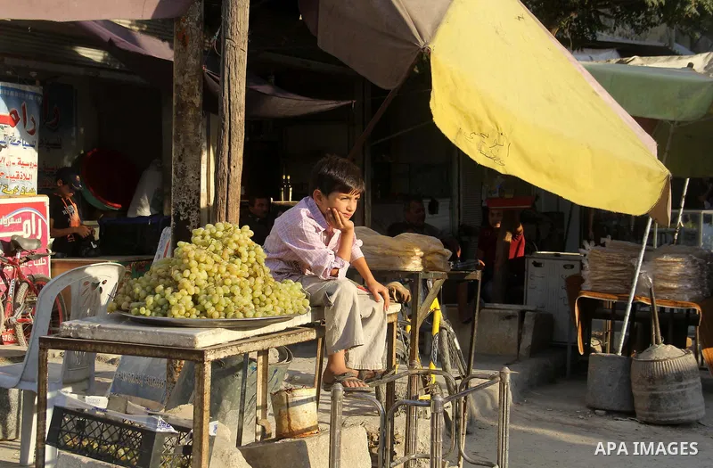 A Syrian boy sells grape in a market in a rebel-controlled area in the northern Syrian city of Aleppo, on August 31, 2015. Photo by Ameer al-Halbi