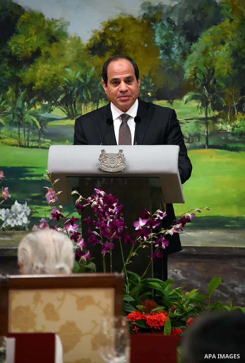 President Abdel Fattah al-Sisi meets with Singaporean counterpart Tony Tan Keng Yam in Singapore on August 31, 2015. President Abdel Fattah al-Sisi is on a three-day state visit at the invitation of President Tony Tan Ke...
