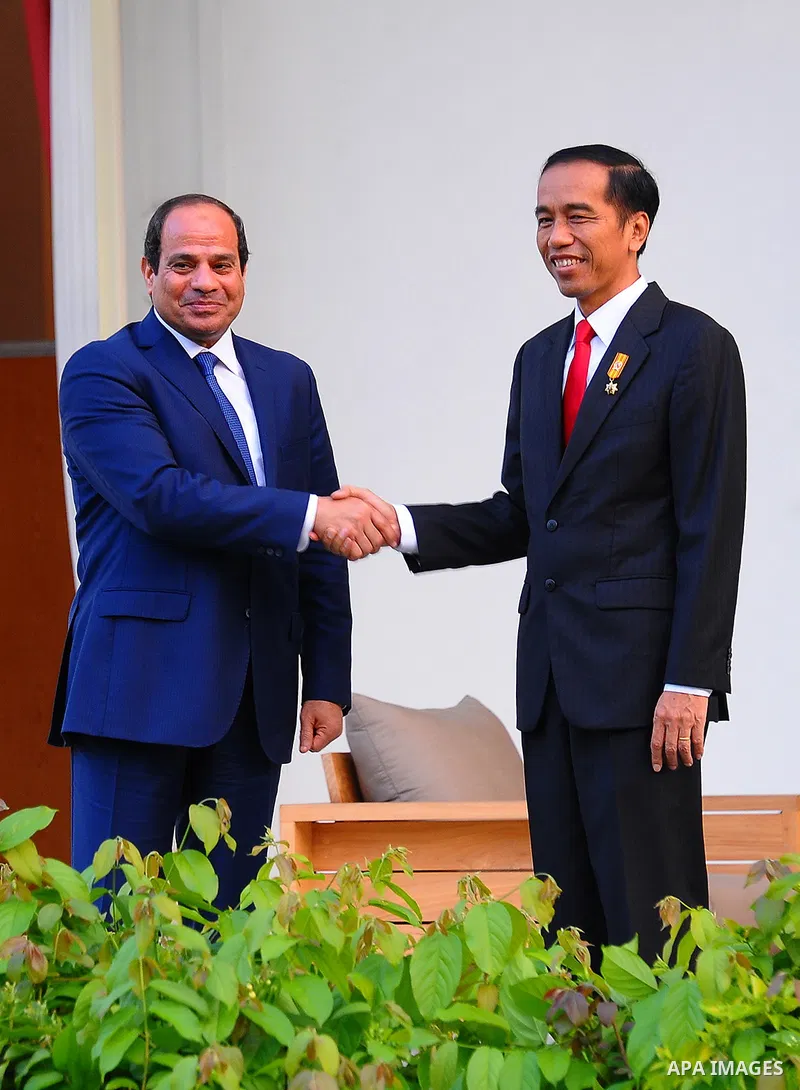 Egypt's President Abdel Fattah al-Sisi walks meets with Indonesia's President Joko Widodo at the presidential palace in Jakarta on September 4, 2015. Al-Sisi, who arrived from Beijing, is on the final stop of his near we...