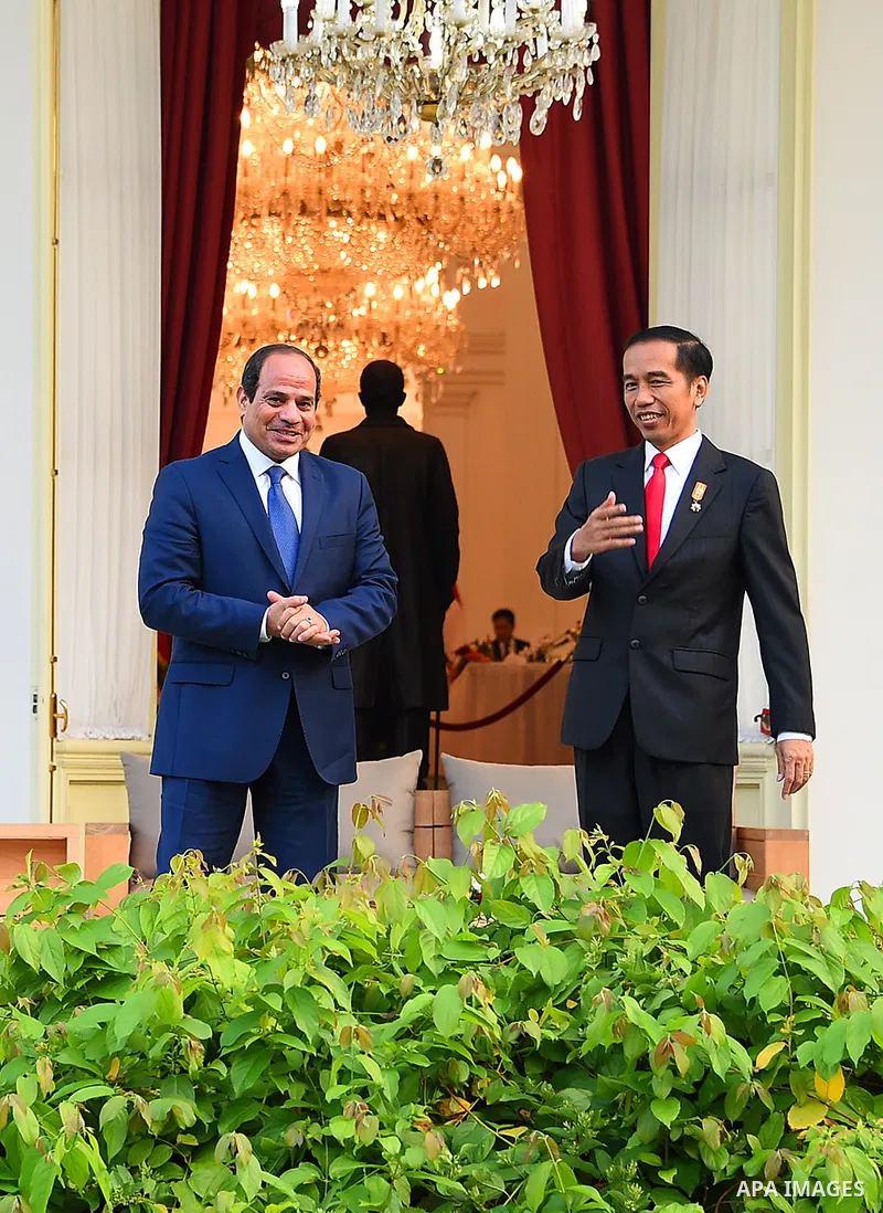 Egypt's President Abdel Fattah al-Sisi walks meets with Indonesia's President Joko Widodo at the presidential palace in Jakarta on September 4, 2015. Al-Sisi, who arrived from Beijing, is on the final stop of his near we...