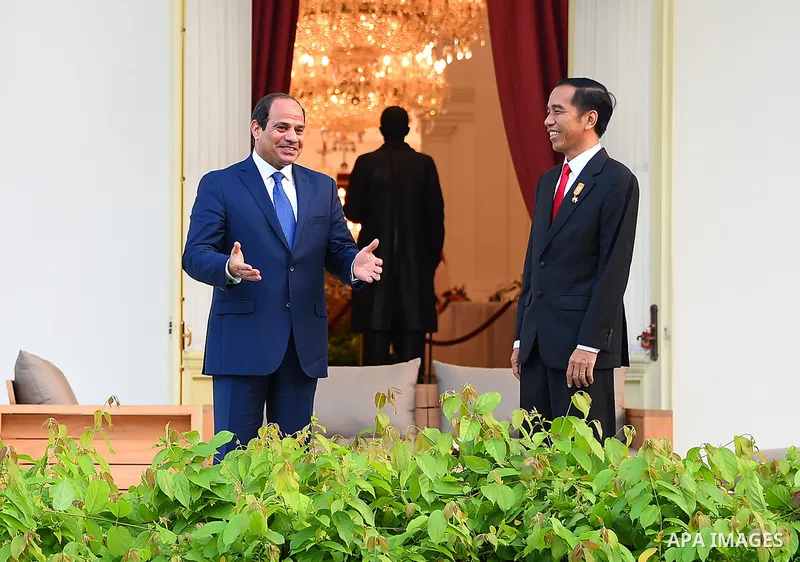 Egypt's President Abdel Fattah al-Sisi walks meets with Indonesia's President Joko Widodo at the presidential palace in Jakarta on September 4, 2015. Al-Sisi, who arrived from Beijing, is on the final stop of his near we...