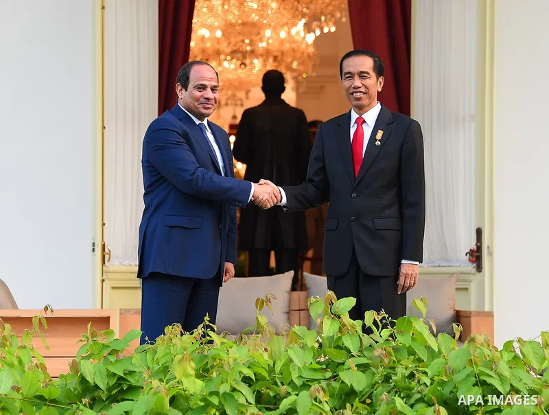 Egypt's President Abdel Fattah al-Sisi walks meets with Indonesia's President Joko Widodo at the presidential palace in Jakarta on September 4, 2015. Al-Sisi, who arrived from Beijing, is on the final stop of his near we...
