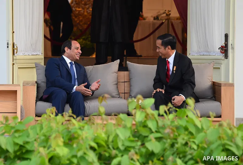 Egypt's President Abdel Fattah al-Sisi walks meets with Indonesia's President Joko Widodo at the presidential palace in Jakarta on September 4, 2015. Al-Sisi, who arrived from Beijing, is on the final stop of his near we...