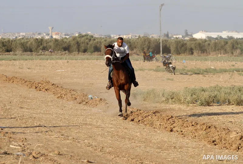 Palestinian competitors take part in a horse race, in Gaza city on September 4, 2015. Six participants with their horses took part in the race in the eastern Gaza city. Photo by Mohammed Asad
