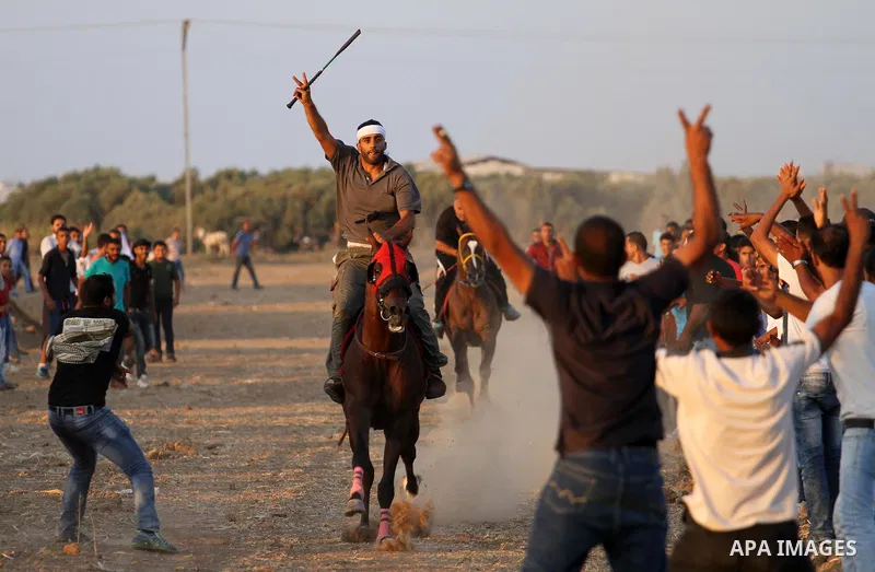 Palestinian competitors take part in a horse race, in Gaza city on September 4, 2015. Six participants with their horses took part in the race in the eastern Gaza city. Photo by Mohammed Asad