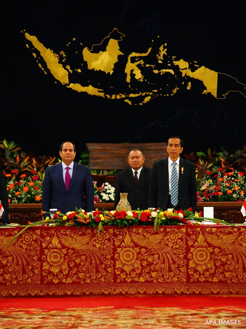 Egypt's President Abdel Fattah al-Sisi meets with Indonesia's President Joko Widodo in Indonesia on September 5, 2015. Al-Sisi, who arrived from Beijing, is on the final stop of his near week-long Asian trip. Photo by Eg...