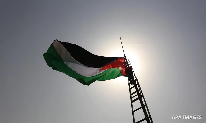 A Palestinian protester sets up a national flag on a mast during a demonstration against Jewish settlements in the West Bank village of Nabi Saleh, near Ramallah September 11, 2015. The UN General Assembly has overwhelmi...