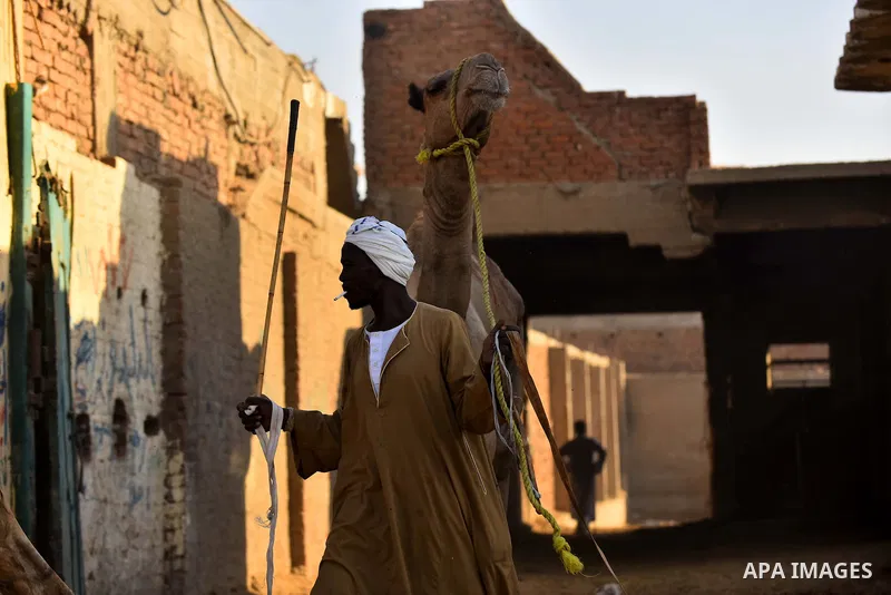 Egyptians gather during the last day of an auction at Birqash Camel Market just outside of Cairo, Egypt, Friday, Sept. 20, 2015 ahead of next week's Eid al-Adha holiday. Muslims all over the world celebrate the three-day...