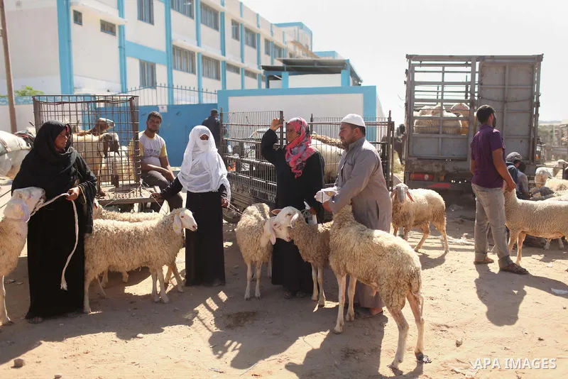 Palestinians gather at a live stock market, ahead of Eid al-Adha in Deir al-Balah, in the center of the Gaza Strip on September 22, 2015. Eid al-Adha (the Festival of Sacrifice) is celebrated throughout the Muslim world...