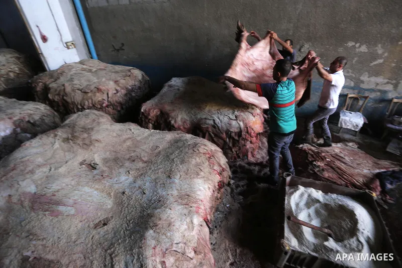 Palestinian leather tannery workers, salt the hides of sacrificial animals before drying them, during second day of Eid al-Adha or the feast of sacrifice, in a workshop in Gaza city on September 25, 2015. Muslims across...