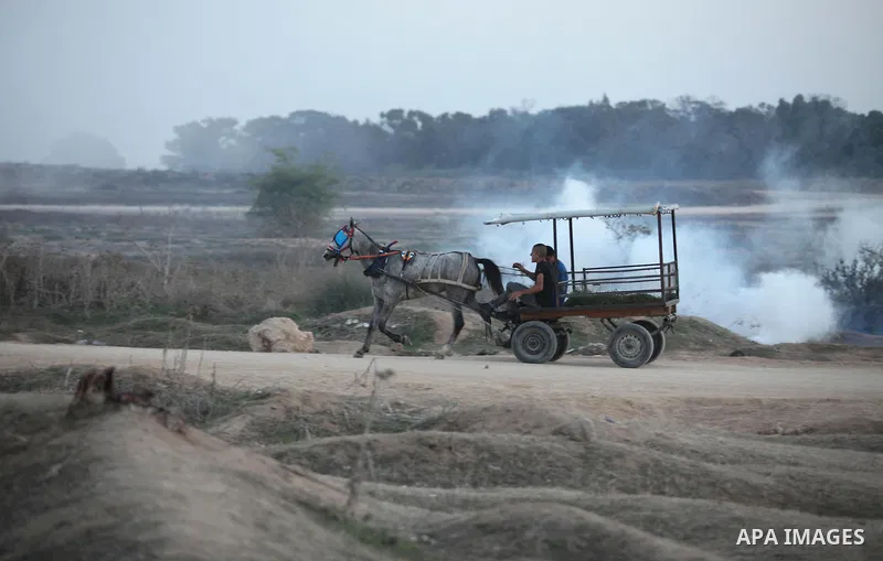 Palestinian protesters run to take cover during clashes near the border between Israel and Central Gaza Strip east of Bureij on October 17, 2015. At least 40 Palestinians and seven Israelis have died in more than two wee...