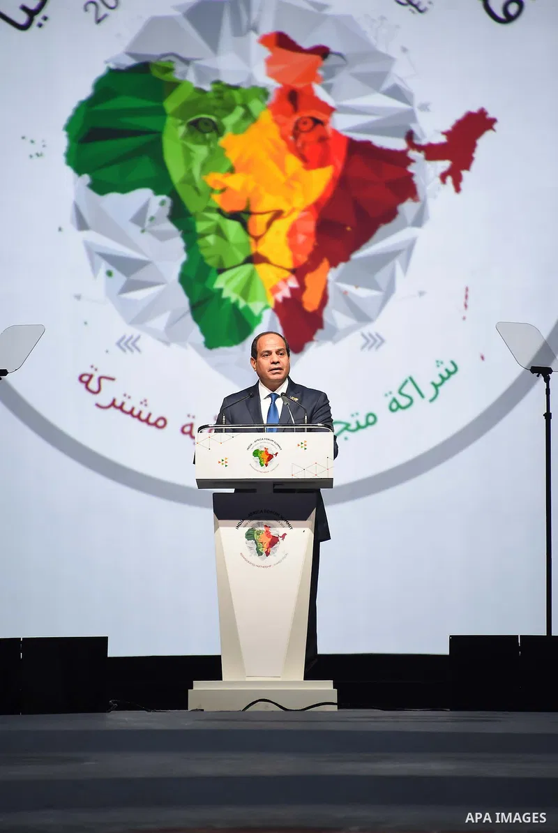 Egypt's President Abdel Fattah el-Sisi addresses delegates during the India-Africa Forum Summit in New Delhi on October 29, 2015. Indian Prime Minister Narendra Modi will spell out his vision for the future of his countr...