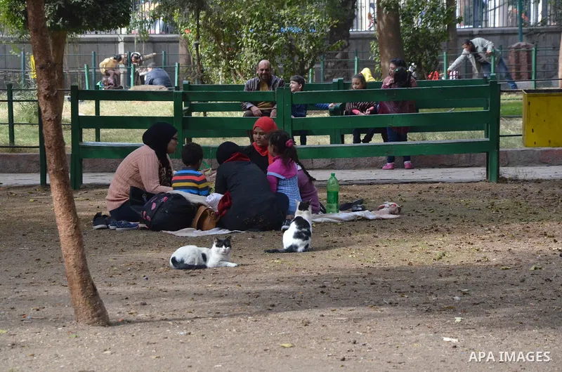 Egyptians enjoy at a zoo in a holiday, in Cairo, Egypt, on January 7, 2016. Photo by Amr Sayed
